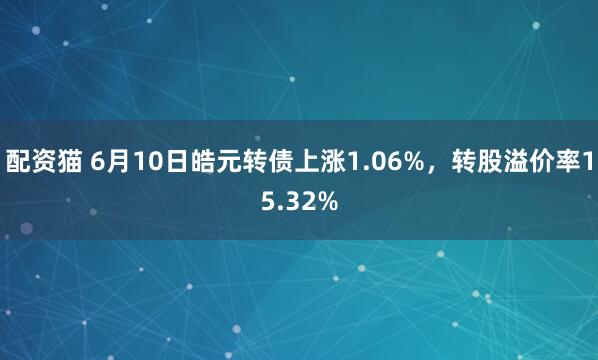 配资猫 6月10日皓元转债上涨1.06%，转股溢价率15.32%