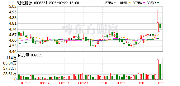 东兴资本配资 湖北能源：2024年度权益分派实施公告