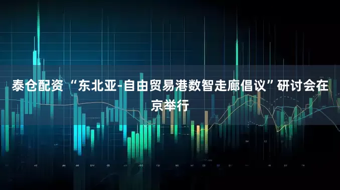 泰仓配资 “东北亚-自由贸易港数智走廊倡议”研讨会在京举行